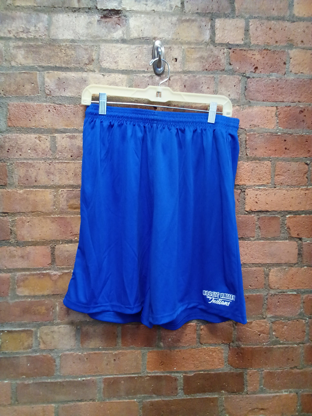 CLEARANCE - Hoosic Valley Gym Shorts - Size Large